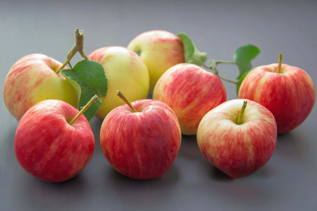 Exploring the Health Benefits of Di Nonna's All Natural Gourmet Apple Sauce